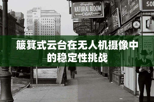 簸箕式云台在无人机摄像中的稳定性挑战
