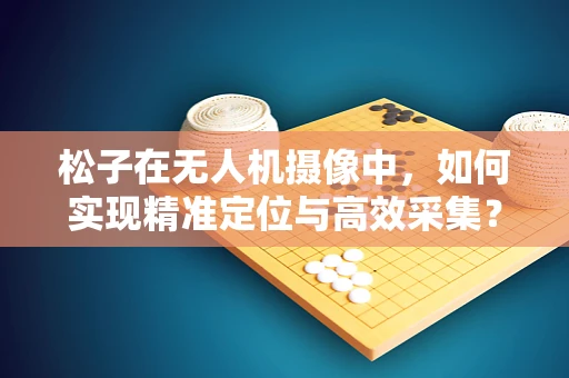 松子在无人机摄像中，如何实现精准定位与高效采集？