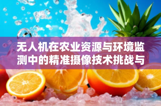 无人机在农业资源与环境监测中的精准摄像技术挑战与解决方案