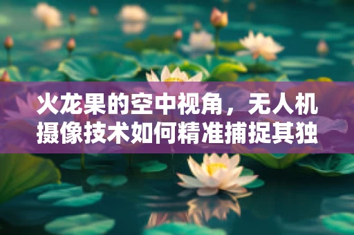 火龙果的空中视角，无人机摄像技术如何精准捕捉其独特魅力？