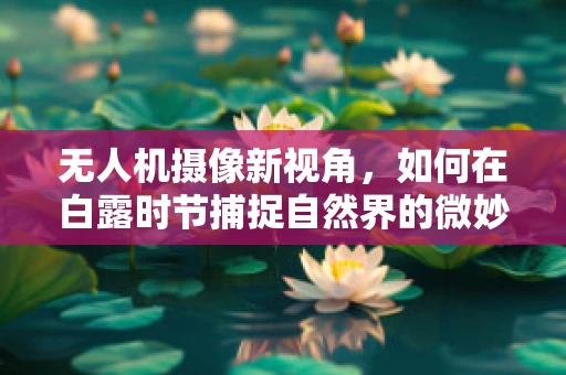 无人机摄像新视角，如何在白露时节捕捉自然界的微妙变化？