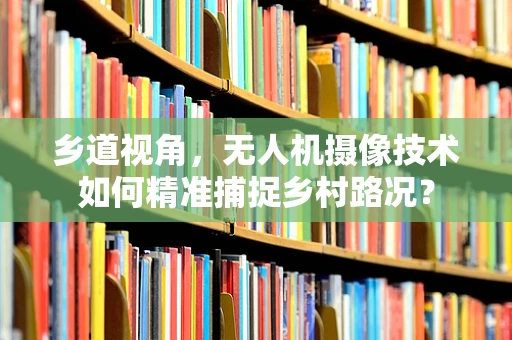 乡道视角，无人机摄像技术如何精准捕捉乡村路况？