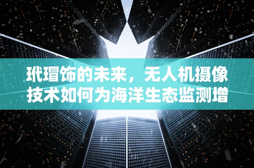 玳瑁饰的未来，无人机摄像技术如何为海洋生态监测增添新视角？