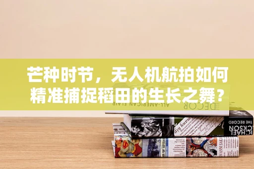 芒种时节，无人机航拍如何精准捕捉稻田的生长之舞？