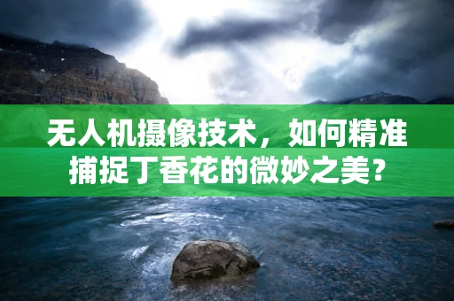无人机摄像技术，如何精准捕捉丁香花的微妙之美？