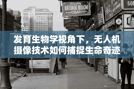 发育生物学视角下，无人机摄像技术如何捕捉生命奇迹？