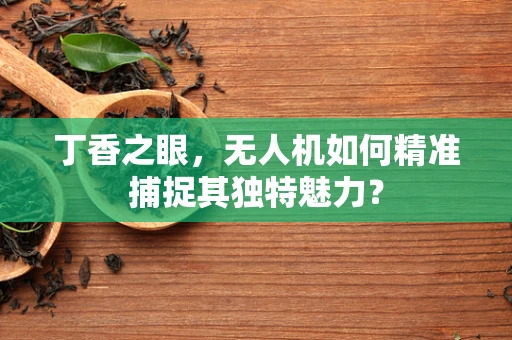 丁香之眼，无人机如何精准捕捉其独特魅力？