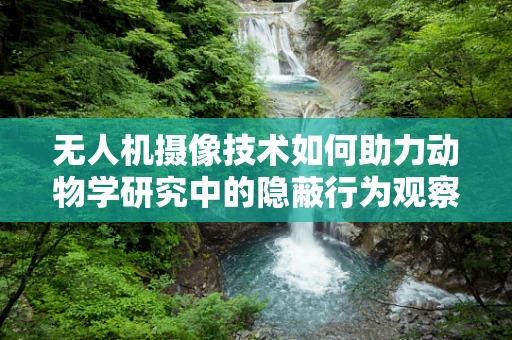 无人机摄像技术如何助力动物学研究中的隐蔽行为观察？