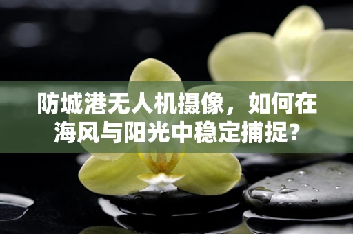 防城港无人机摄像，如何在海风与阳光中稳定捕捉？