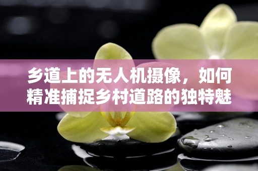 乡道上的无人机摄像，如何精准捕捉乡村道路的独特魅力？