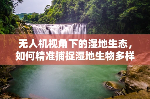 无人机视角下的湿地生态，如何精准捕捉湿地生物多样性？