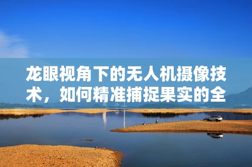 龙眼视角下的无人机摄像技术，如何精准捕捉果实的全貌与细节？