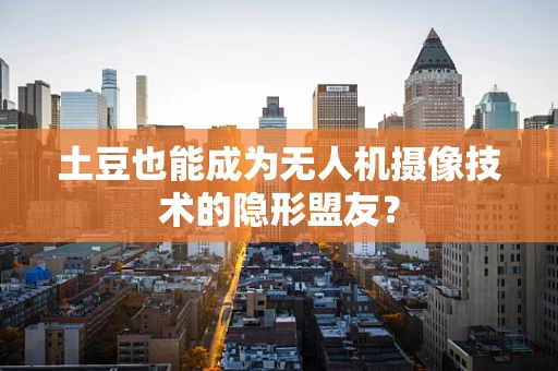 土豆也能成为无人机摄像技术的隐形盟友？