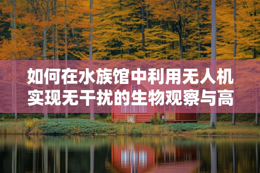 如何在水族馆中利用无人机实现无干扰的生物观察与高清摄像？