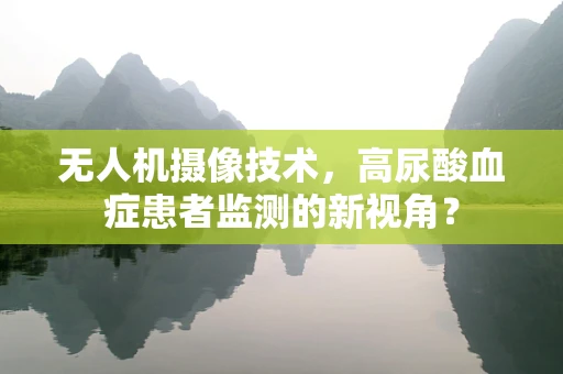无人机摄像技术，高尿酸血症患者监测的新视角？