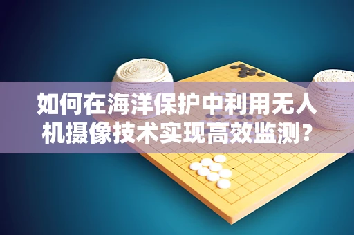 如何在海洋保护中利用无人机摄像技术实现高效监测？