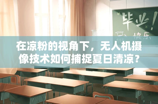 在凉粉的视角下，无人机摄像技术如何捕捉夏日清凉？