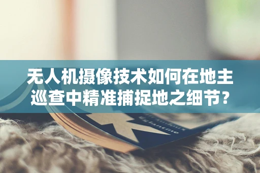 无人机摄像技术如何在地主巡查中精准捕捉地之细节？