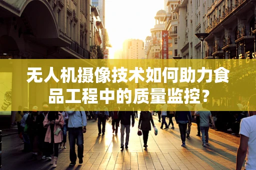 无人机摄像技术如何助力食品工程中的质量监控？