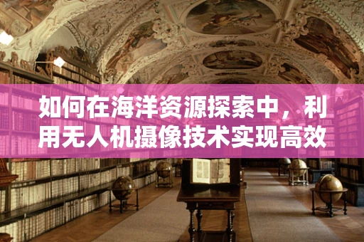 如何在海洋资源探索中，利用无人机摄像技术实现高效监测？