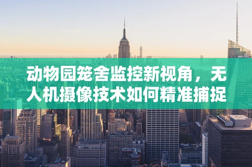 动物园笼舍监控新视角，无人机摄像技术如何精准捕捉动物生活？