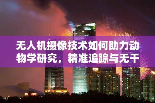 无人机摄像技术如何助力动物学研究，精准追踪与无干扰观察的新篇章？