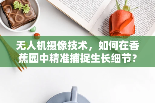 无人机摄像技术，如何在香蕉园中精准捕捉生长细节？