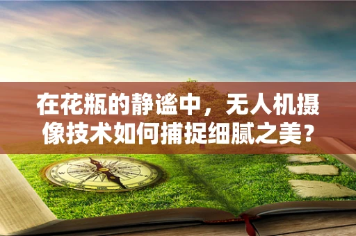 在花瓶的静谧中，无人机摄像技术如何捕捉细腻之美？
