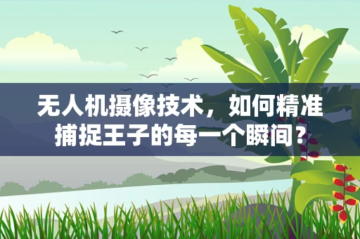 无人机摄像技术，如何精准捕捉王子的每一个瞬间？