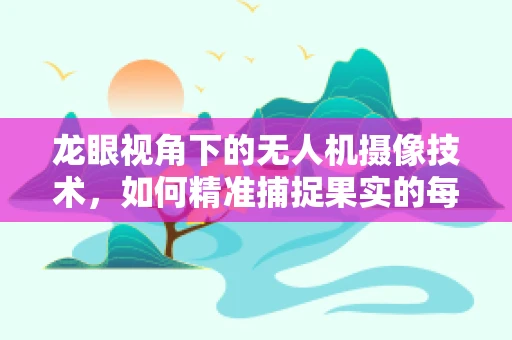 龙眼视角下的无人机摄像技术，如何精准捕捉果实的每一刻？