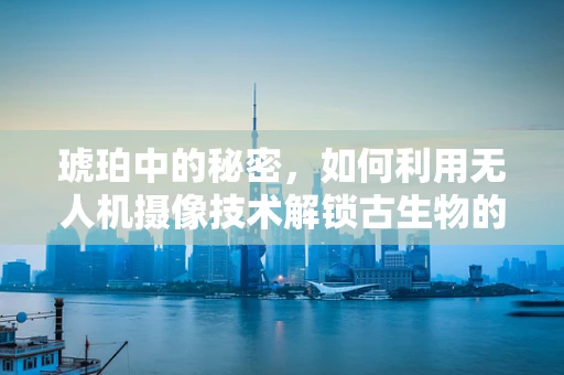 琥珀中的秘密，如何利用无人机摄像技术解锁古生物的视觉证据？