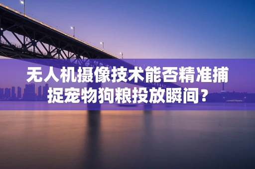 无人机摄像技术能否精准捕捉宠物狗粮投放瞬间？