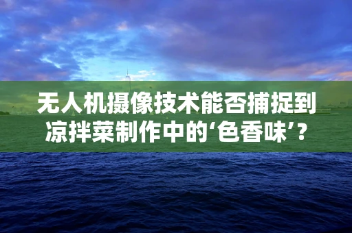 无人机摄像技术能否捕捉到凉拌菜制作中的‘色香味’？