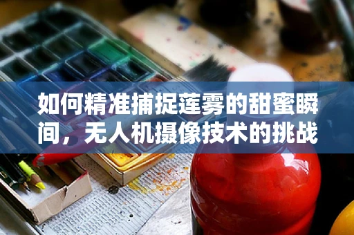 如何精准捕捉莲雾的甜蜜瞬间，无人机摄像技术的挑战与解决方案