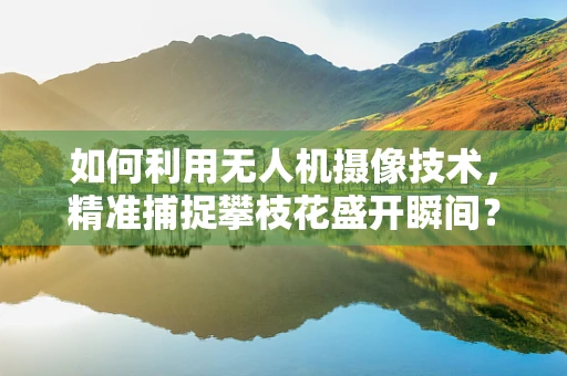 如何利用无人机摄像技术，精准捕捉攀枝花盛开瞬间？