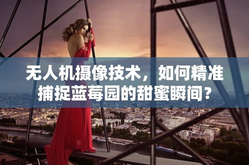 无人机摄像技术，如何精准捕捉蓝莓园的甜蜜瞬间？