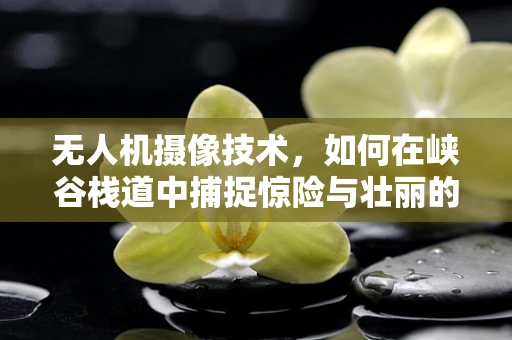 无人机摄像技术，如何在峡谷栈道中捕捉惊险与壮丽的完美平衡？