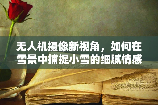 无人机摄像新视角，如何在雪景中捕捉小雪的细腻情感？