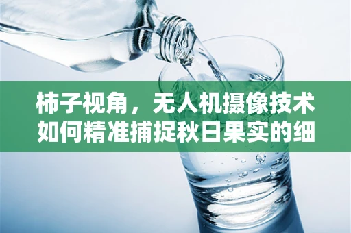 柿子视角，无人机摄像技术如何精准捕捉秋日果实的细节？