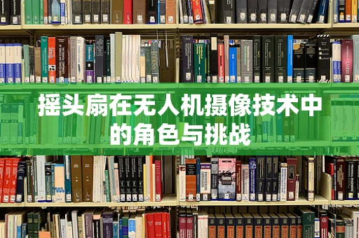 摇头扇在无人机摄像技术中的角色与挑战