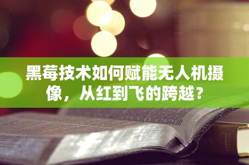 黑莓技术如何赋能无人机摄像，从红到飞的跨越？