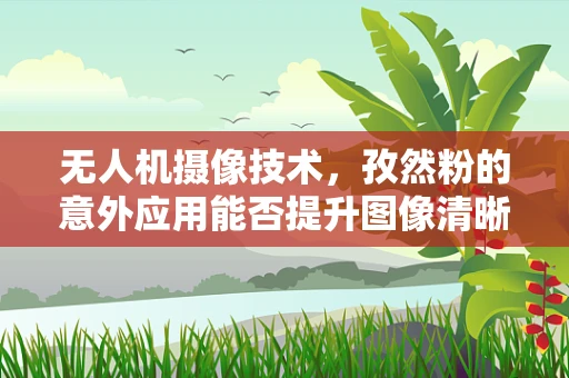 无人机摄像技术，孜然粉的意外应用能否提升图像清晰度？