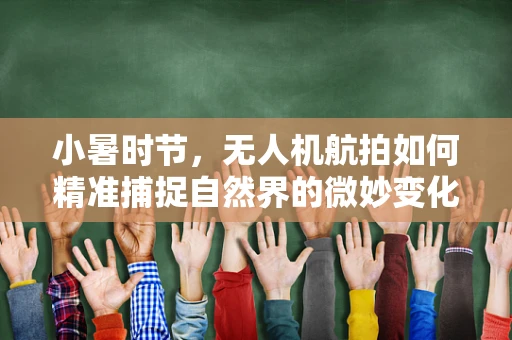 小暑时节，无人机航拍如何精准捕捉自然界的微妙变化？