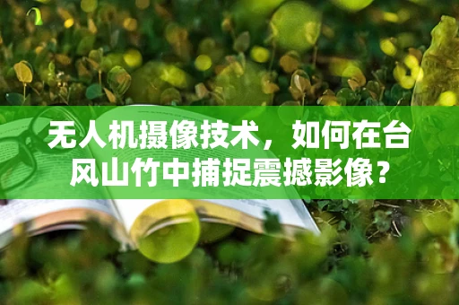 无人机摄像技术，如何在台风山竹中捕捉震撼影像？