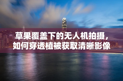 草果覆盖下的无人机拍摄，如何穿透植被获取清晰影像？