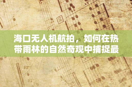 海口无人机航拍，如何在热带雨林的自然奇观中捕捉最佳镜头？