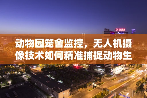 动物园笼舍监控，无人机摄像技术如何精准捕捉动物生活瞬间？