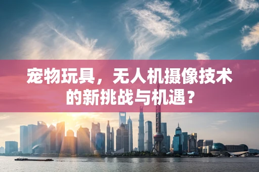 宠物玩具，无人机摄像技术的新挑战与机遇？