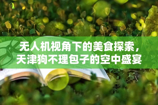 无人机视角下的美食探索，天津狗不理包子的空中盛宴