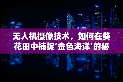 无人机摄像技术，如何在葵花田中捕捉‘金色海洋’的秘密？